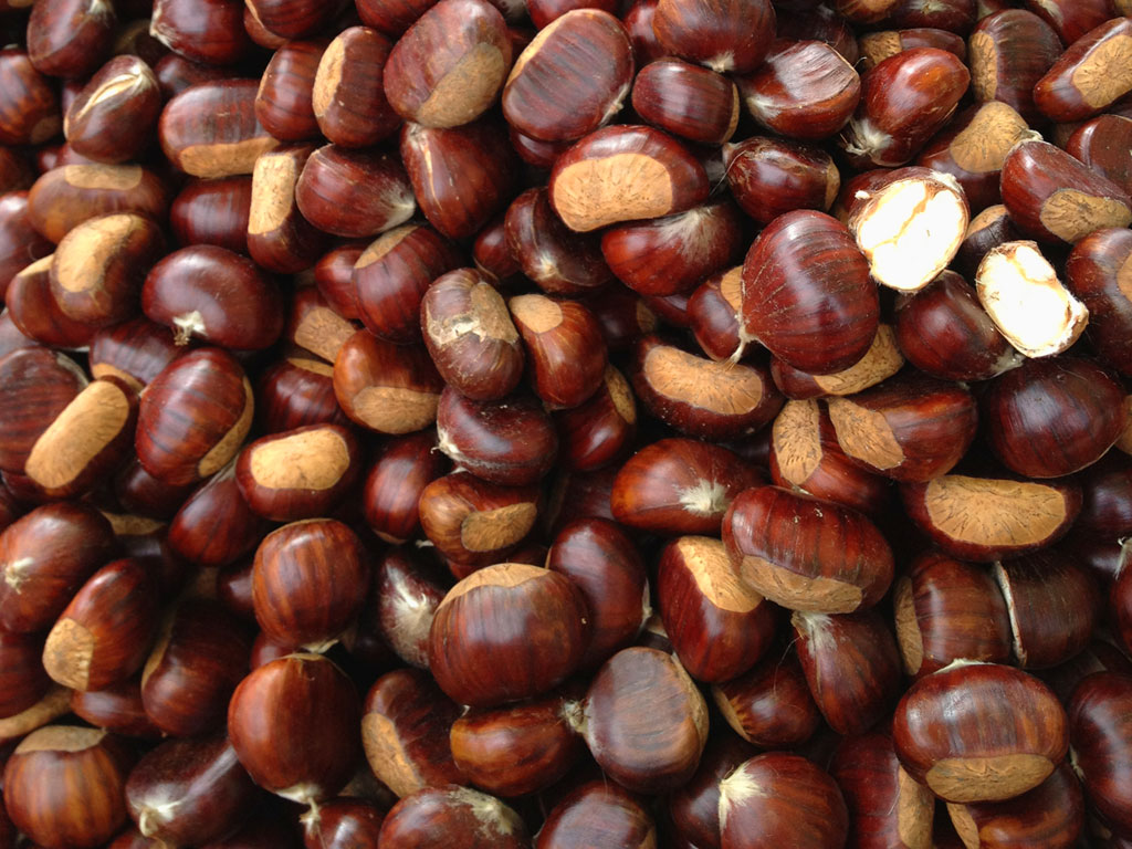 Ottobre, sale in cattedre la castagna