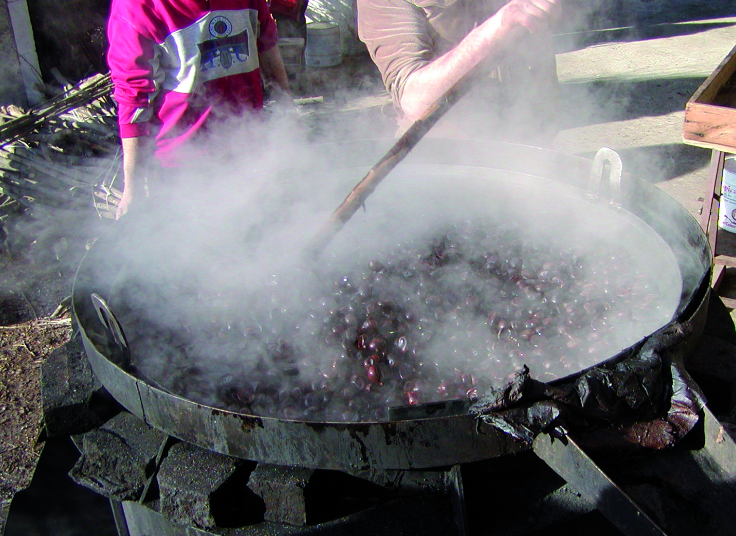 “Sagra dei Biligocc” di Casale: la castagna in vetrina