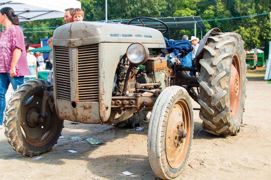 Successo per la 5^ edizione della “Mostra agro-zootecnica della Valle del Lujo”
