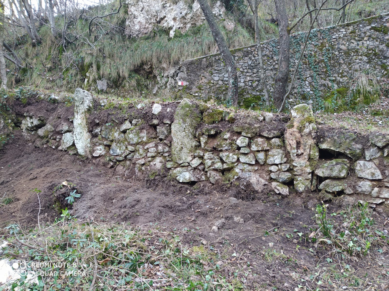 Ripartono i lavori alla mulattiera Albino-Selvino. Rintracciati antichi montanti di protezione in pietra e una vena di “alabastro di Albino”