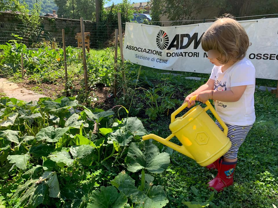 L’Urban Garden per favorire socialità e stili di vita sostenibili