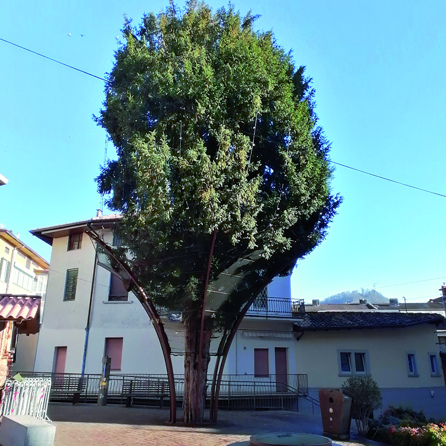 Il pozzo e l’albero