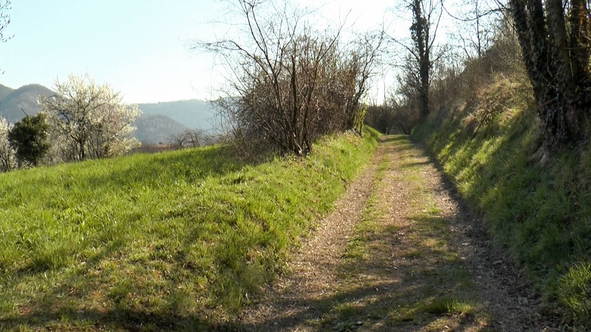“Domeniche in Piazzo” per valorizzare un territorio esclusivo