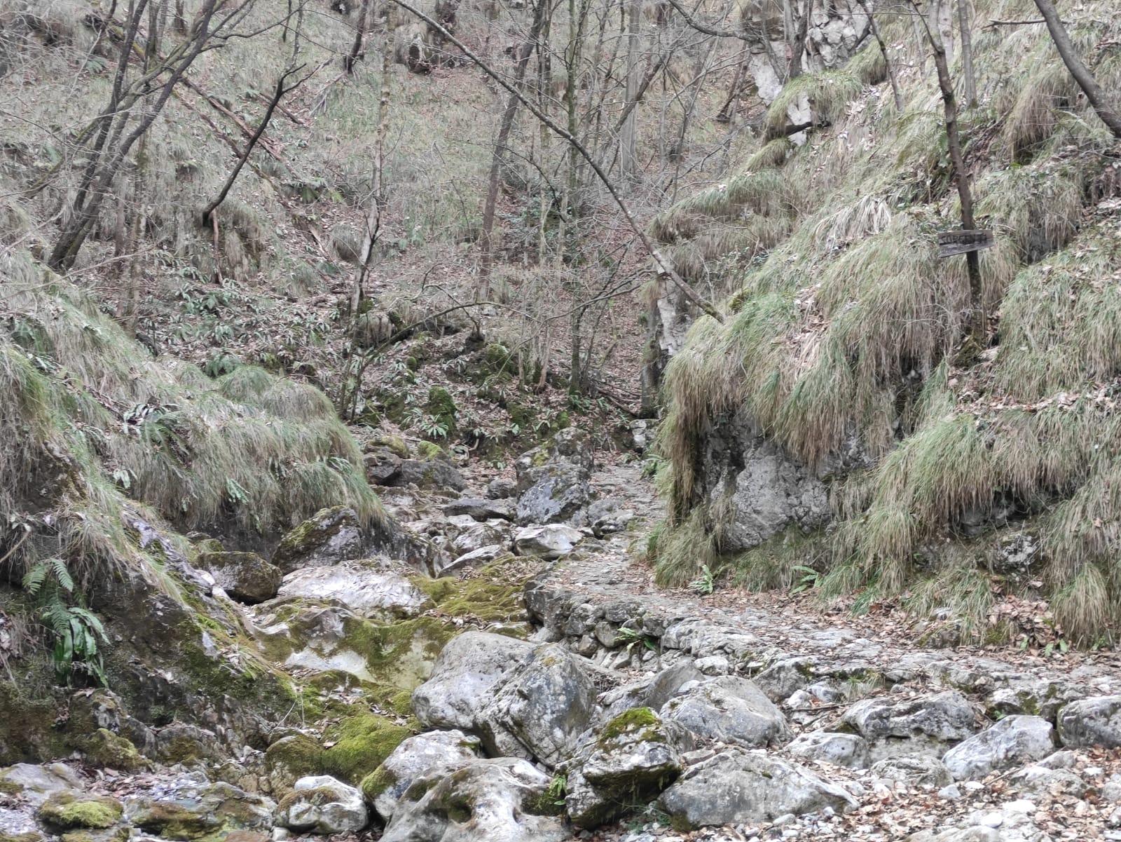 Valle Vertova: sorgenti in secca