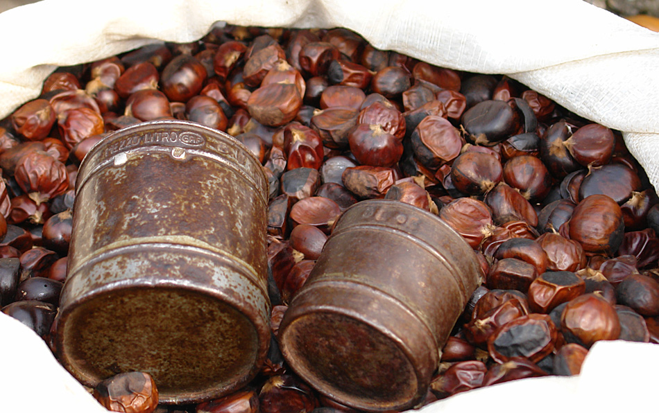 Trentacinquesima edizione della “Sagra dei Biligocc”