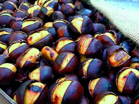 Domenica 6 ottobre: “Castagnata” a Casale