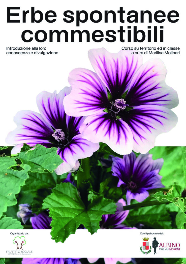 Corso sulle erbe spontanee commestibili