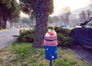 Cestini porta-rifiuti sì oppure…meglio di no!