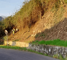 Messa in sicurezza del versante boschivo sopra viale Giardini