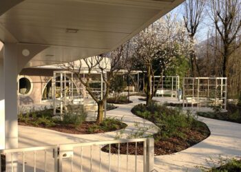 Dieci anni di Centro Diurno Integrato. Successo delle uscite sul territorio