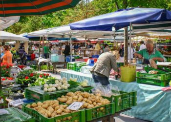 Albino, i mercati come luoghi di socialità e sostenibilità