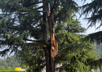 La sicurezza prima di tutto