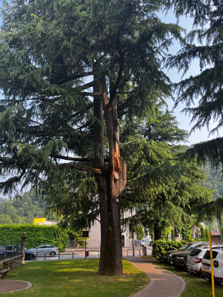 La sicurezza prima di tutto