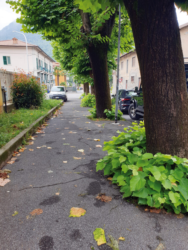 E, ora, anche l’invasione dei polloni sui marciapiedi
