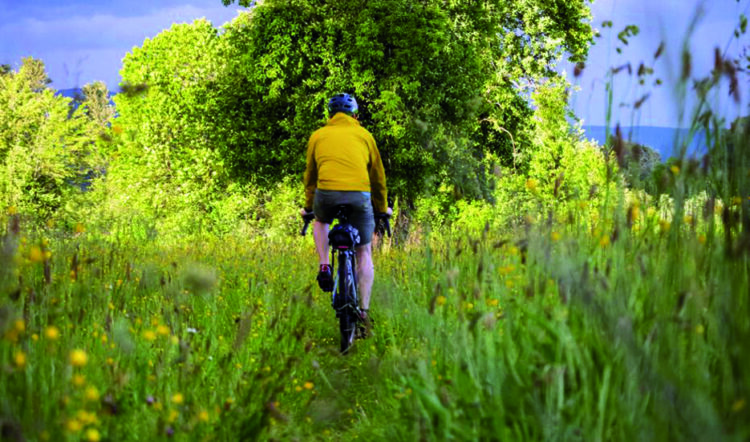 Settembre, tempo di gite in e-bike. Ma attenti.