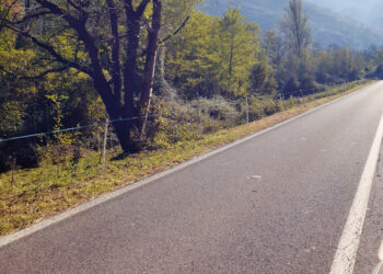 “Se passasse in Valle del Lujo il “Giro di Lombardia” …