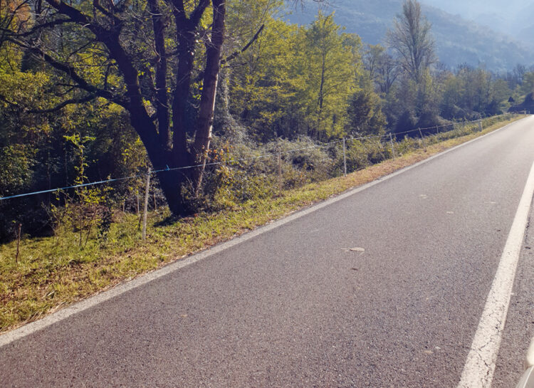 “Se passasse in Valle del Lujo il “Giro di Lombardia” …