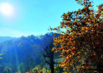 La nuova raccolta poetica di Lorenzo Gabanizza